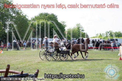 Mintakép 20260531-17
