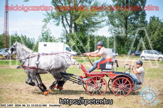 Mintakép 20260613-218