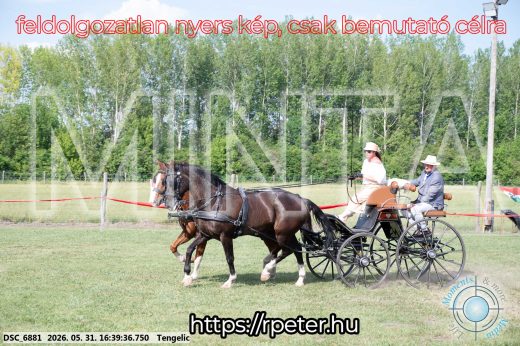 Mintakép 20260531-20