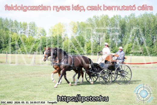 Mintakép 20260531-21