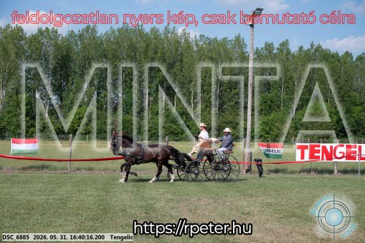 Mintakép 20260531-24