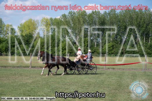 Mintakép 20260531-25