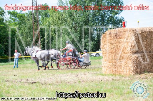 Mintakép 20260613-219