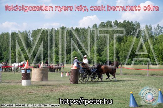 Mintakép 20260531-34