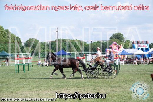 Mintakép 20260531-36