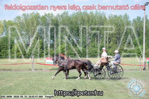 Mintakép 20260531-37