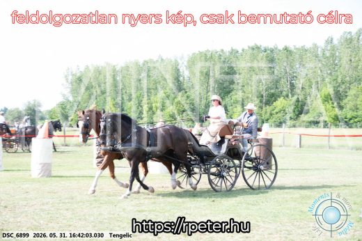 Mintakép 20260531-38