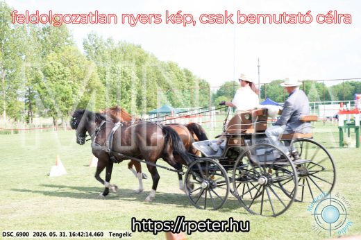 Mintakép 20260531-39