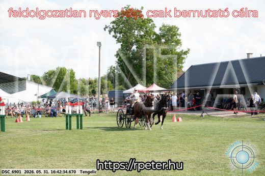 Mintakép 20260531-40