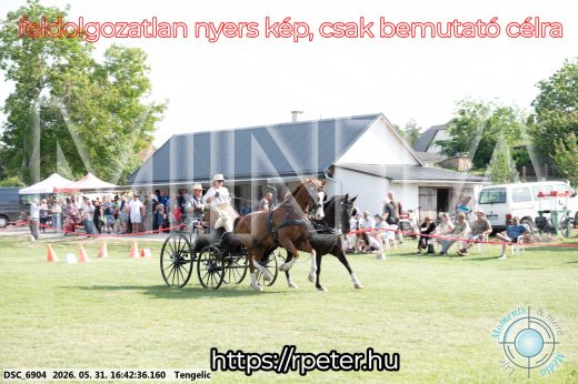 Mintakép 20260531-43