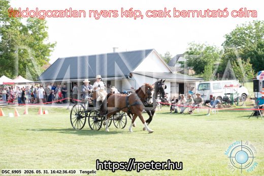 Mintakép 20260531-44