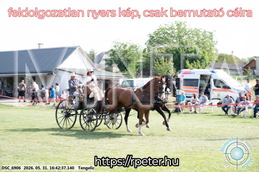 Mintakép 20260531-45