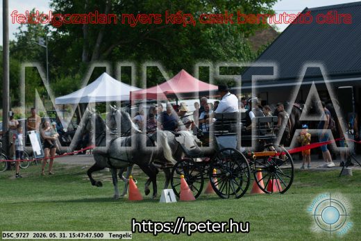 Mintakép 20260531-53