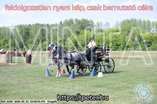 Mintakép 20260531-57