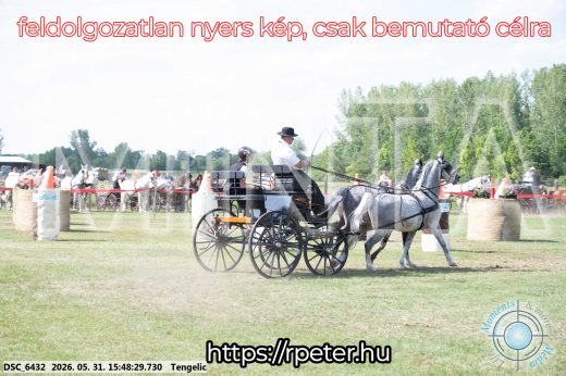 Mintakép 20260531-58