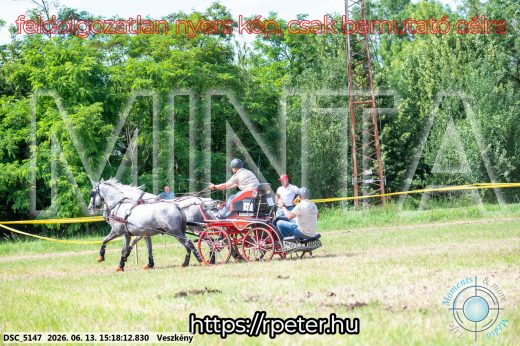 Mintakép 20260613-222