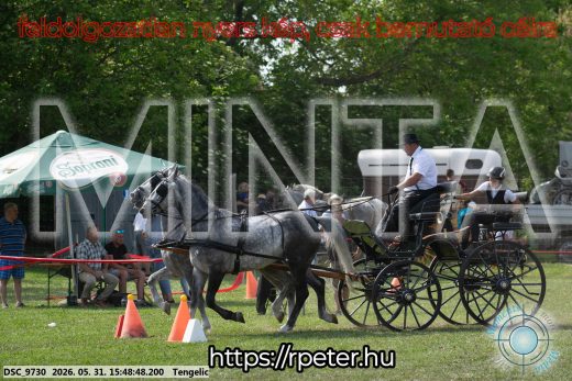 Mintakép 20260531-61