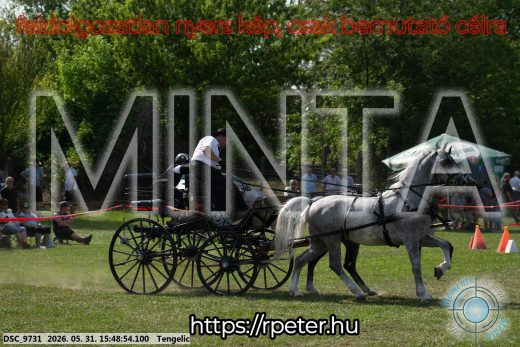 Mintakép 20260531-62