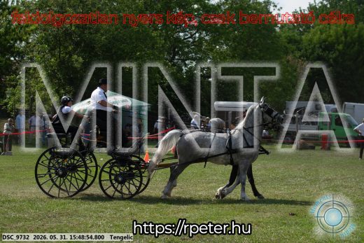 Mintakép 20260531-63