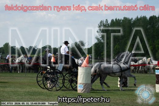 Mintakép 20260531-64