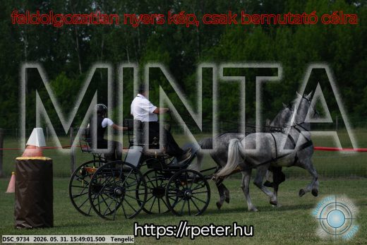 Mintakép 20260531-65