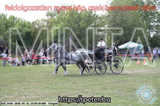 Mintakép 20260531-66
