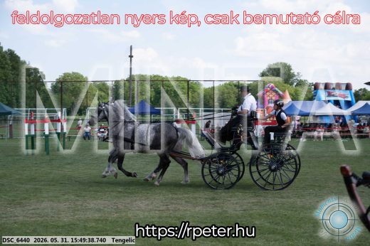 Mintakép 20260531-70