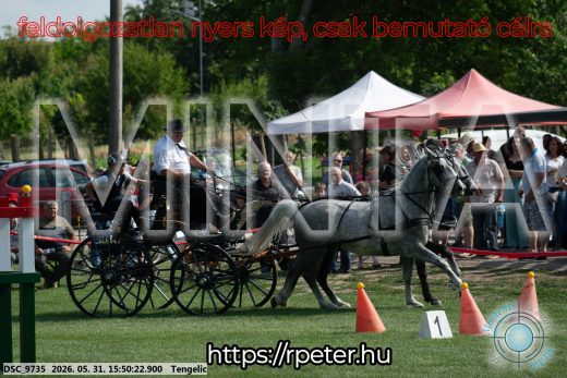Mintakép 20260531-77