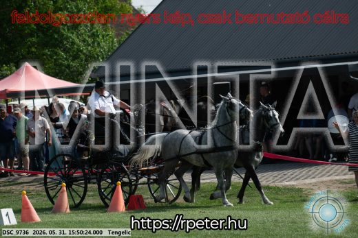 Mintakép 20260531-78