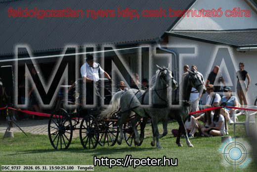 Mintakép 20260531-79