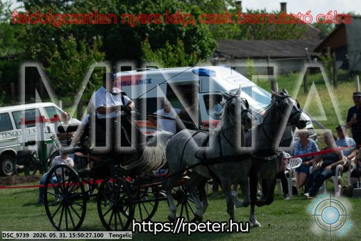 Mintakép 20260531-80