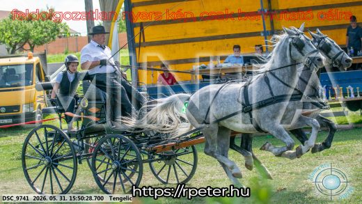 Mintakép 20260531-81