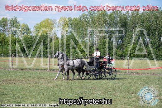 Mintakép 20260531-83