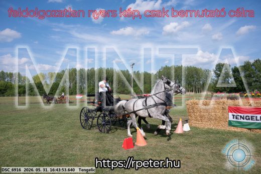 Mintakép 20260531-85