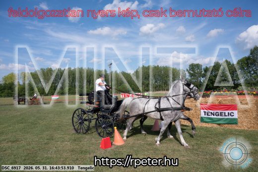 Mintakép 20260531-86