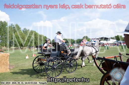 Mintakép 20260531-88