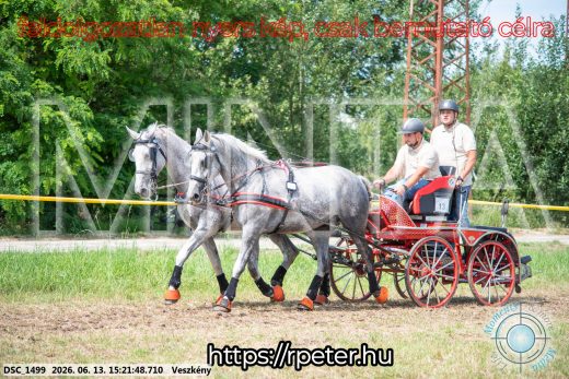 Mintakép 20260613-225