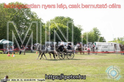 Mintakép 20260531-91