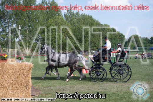 Mintakép 20260531-95