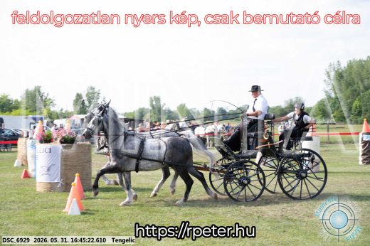 Mintakép 20260531-96