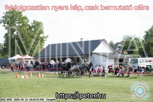Mintakép 20260531-98