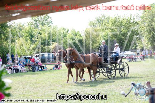 20260531-155114-DSC_6449.jpg