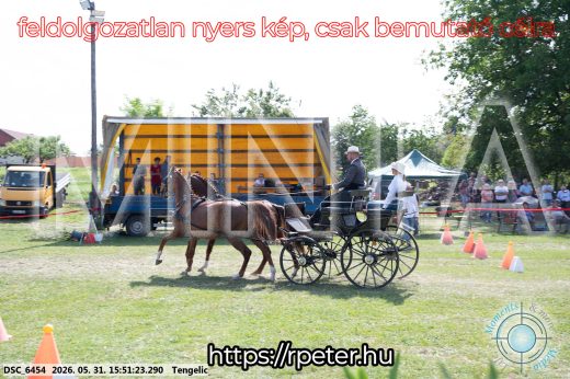 Mintakép 20260531-106