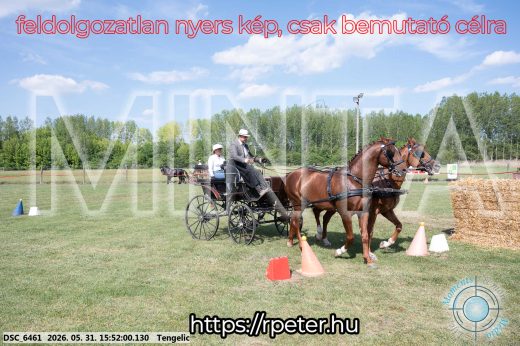 Mintakép 20260531-109