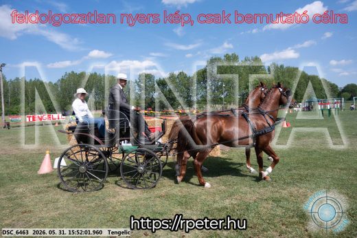 Mintakép 20260531-111