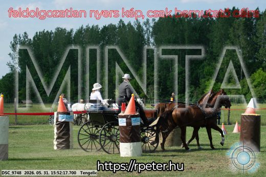 Mintakép 20260531-112