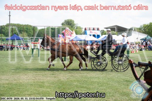 Mintakép 20260531-113