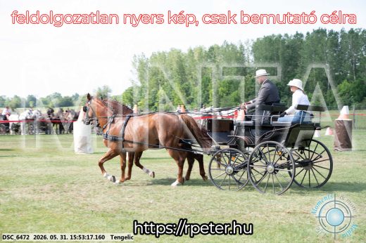 Mintakép 20260531-115