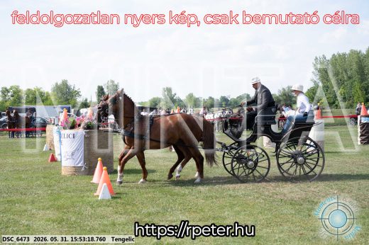 Mintakép 20260531-116