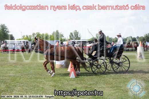 Mintakép 20260531-117